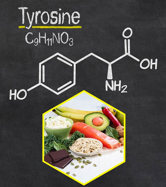 Benefits And Best Sources Of Tyrosine side effects 
