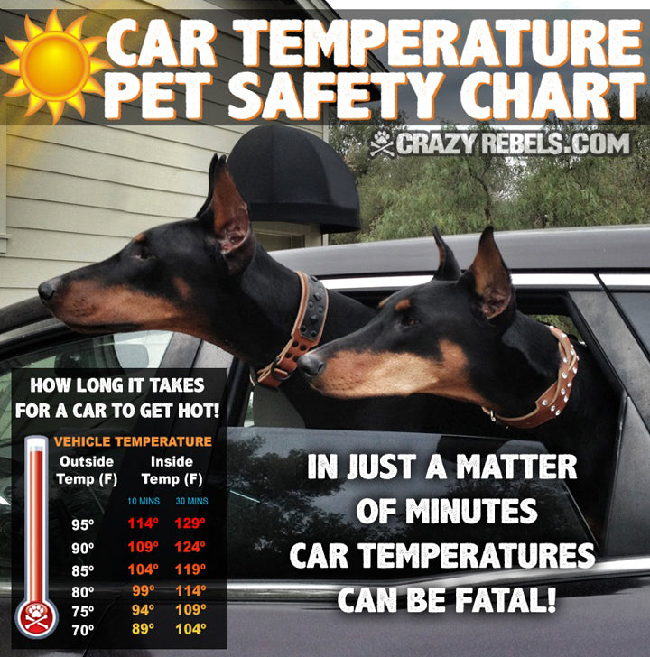 Dog In Car Temperature Chart