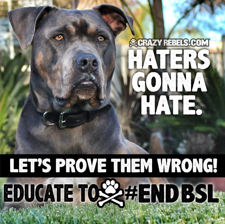 misunderstood educating to end bsl crazyrebels com