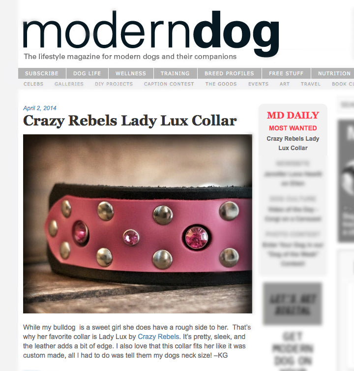 The Lady Lux Collar on Modern Dog Magazine –