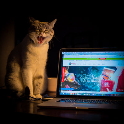 Lola la que quiere que introduzcamos más productos para gatos en nuestra tienda de mascotas