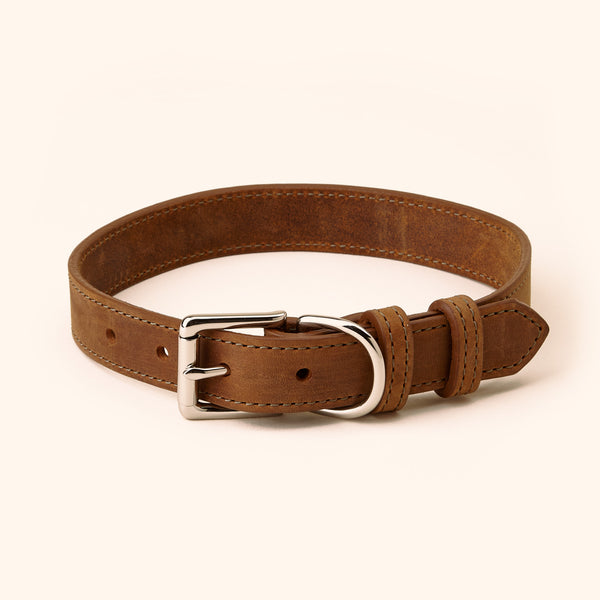 crazy horse leather dog collar for poodles