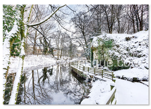 Mother Shiptons Dropping Well in the Snow Christmas Card