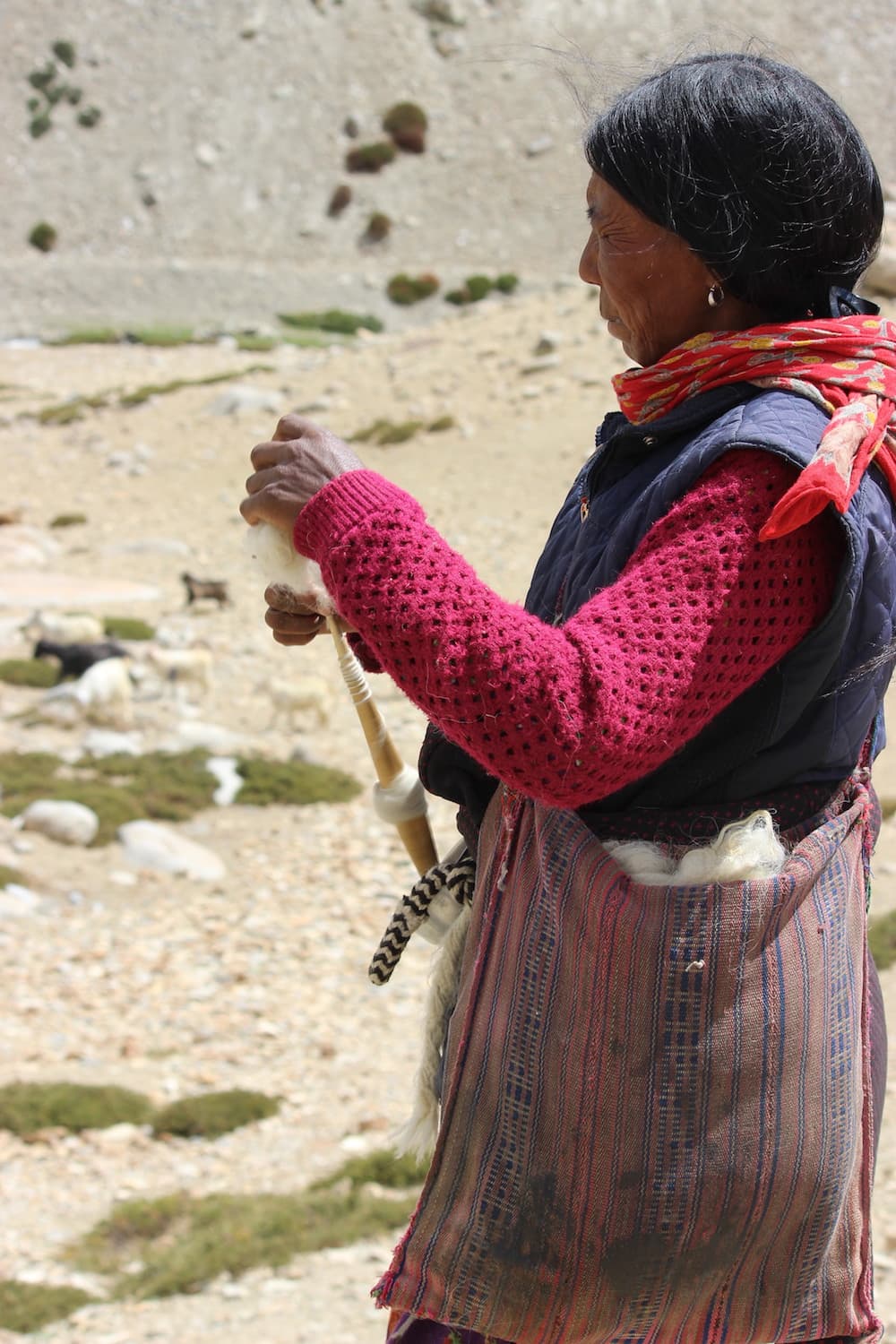 Textile craft Ladakh india