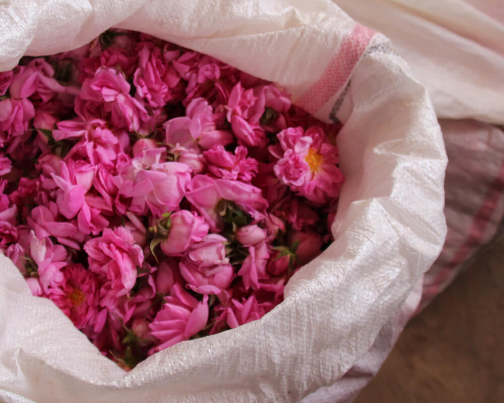 bag of rose petals