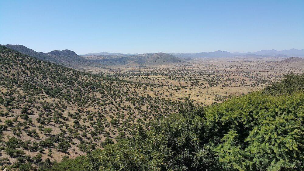 picture of moroccan landscape