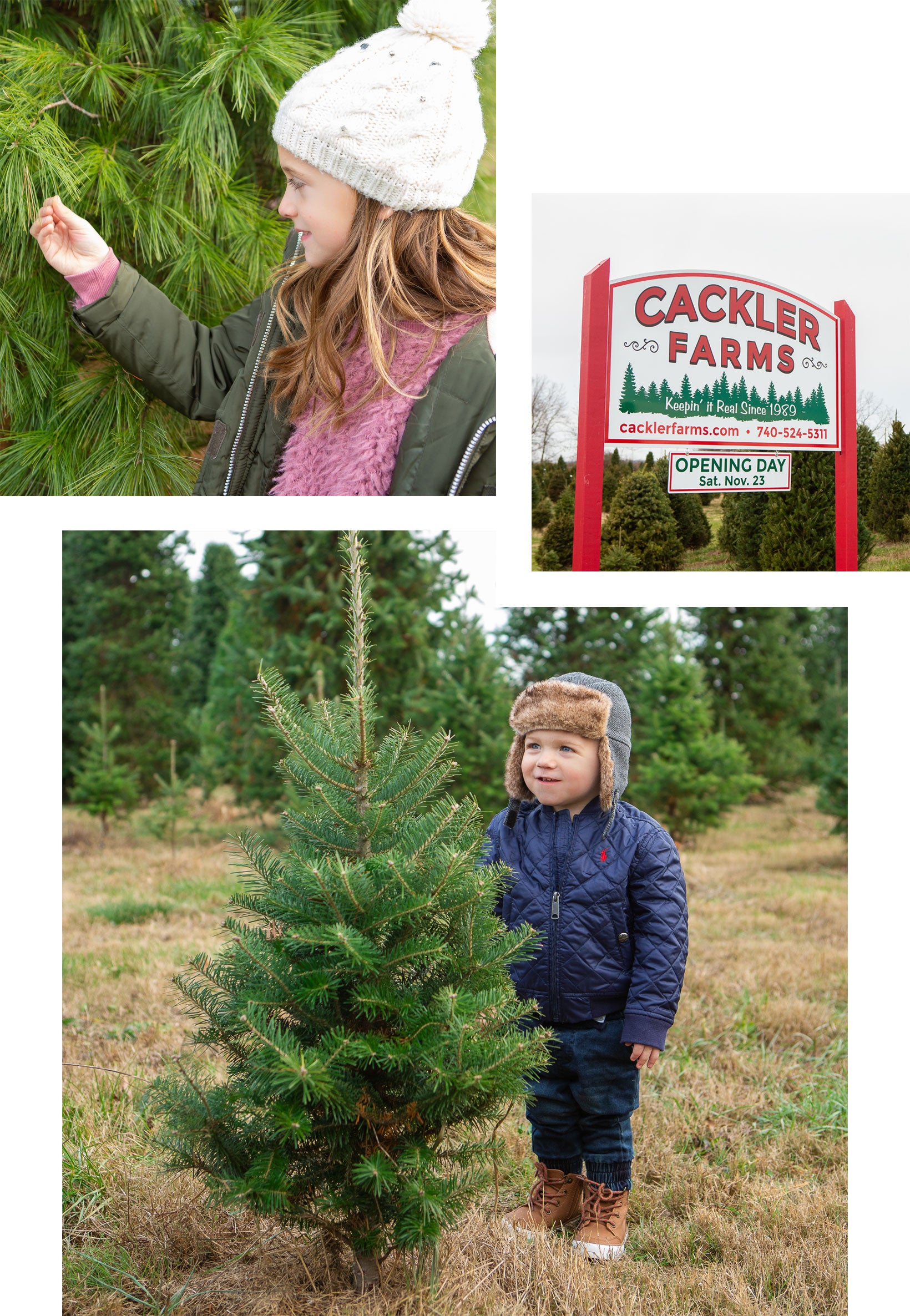 Trove Family Christmas Tree Picking