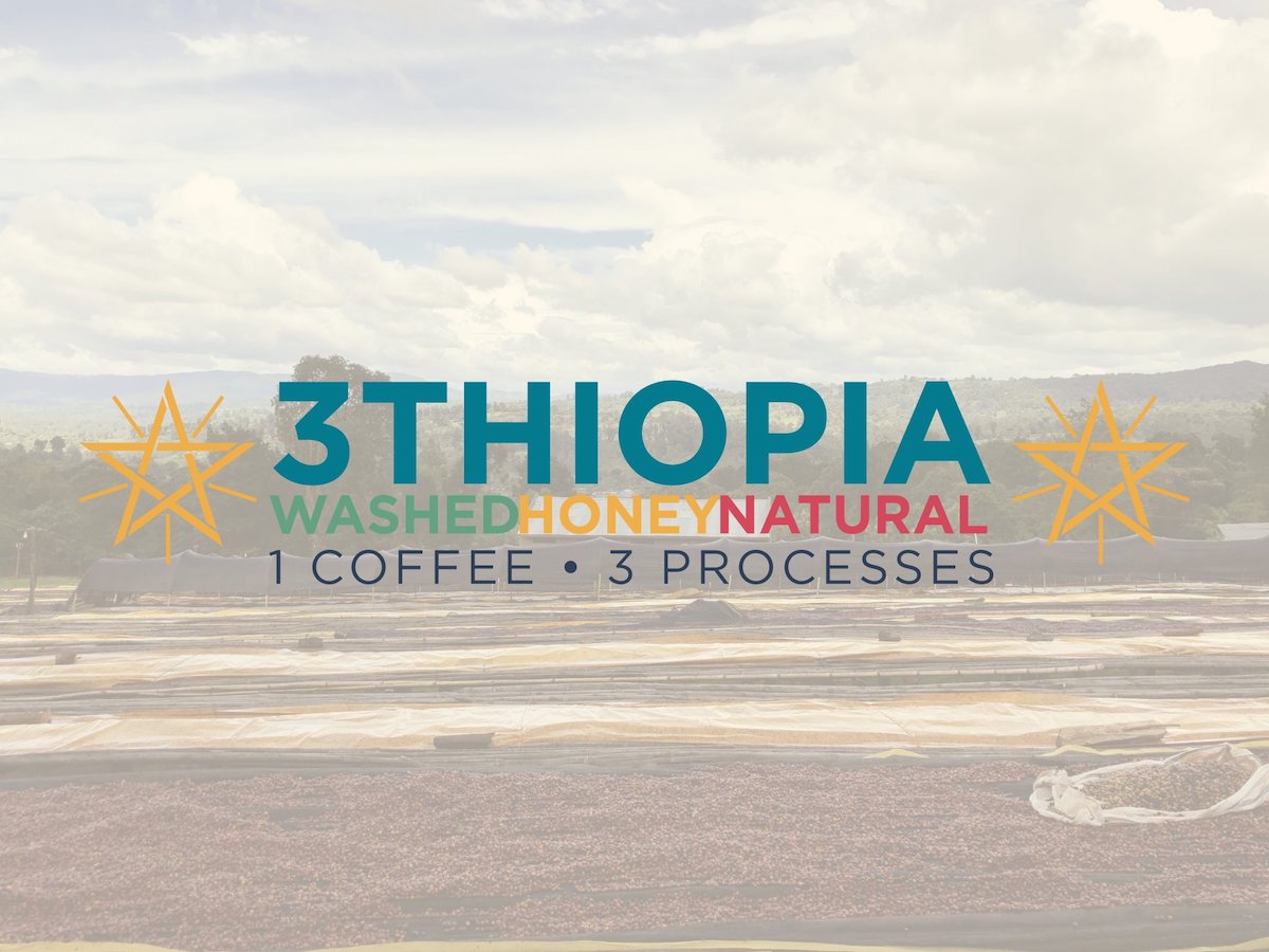 3thiopia Ethiopia Processing Blend
