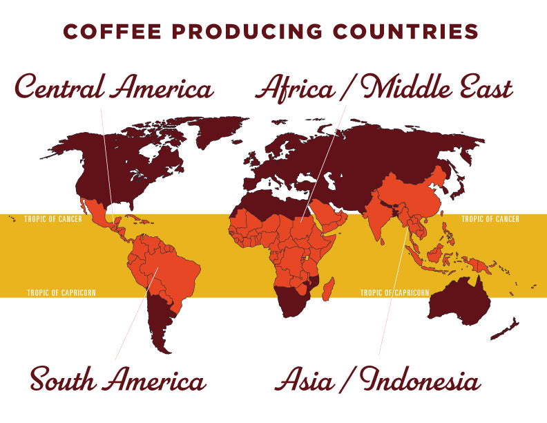 Coffee Producing Regions