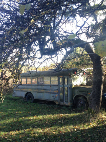 Picture of old bus sunlight