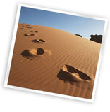 Footprints in the desert to show you how dry the wool in an organic mattress keeps you.