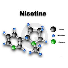 What is Nicotine