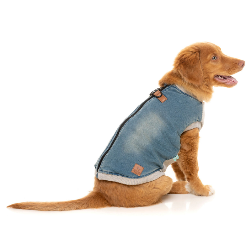 julius k9 life vest