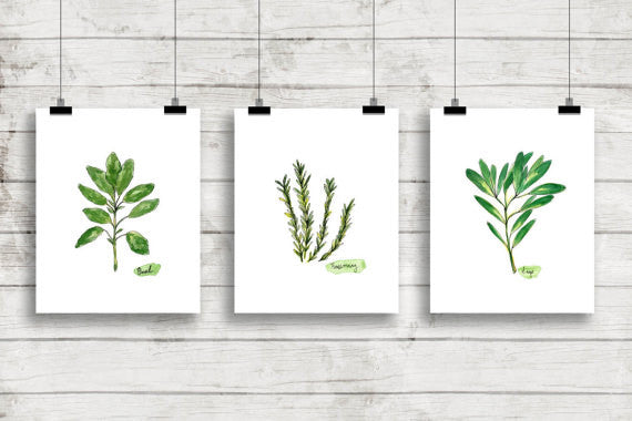 Fresh Herbs Botanical Green Prints Bring Natural Inspiration Indoors