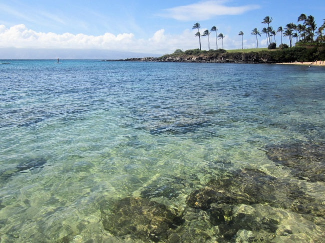 Kapalua Beach