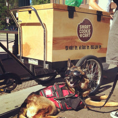 Smart Cookie Cart treat trike food truck for dogs