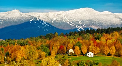 Stowe Vermont Dog Friendly