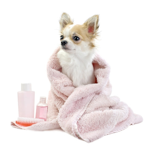 Dog Shampoos, Dog Conditioners, Dog Cologne