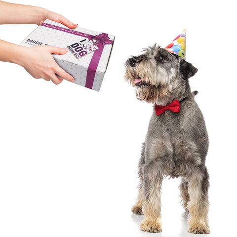 Dog Birthday Gift Box