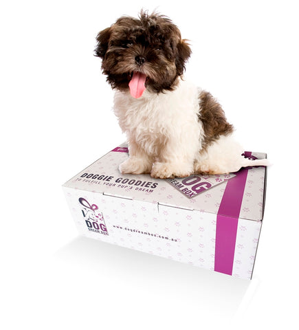 Puppy Gift Box - Puppy Toys, Treats & Puppy Grooming Products