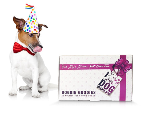 Dog Birthday Gift Box