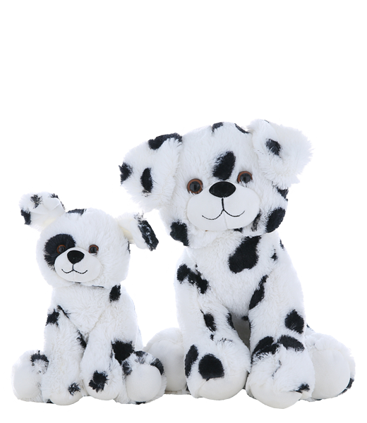 dalmatian teddy