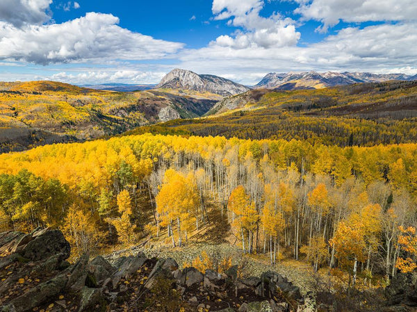 Colorado Fall Foliage - #4 Kebler Pass