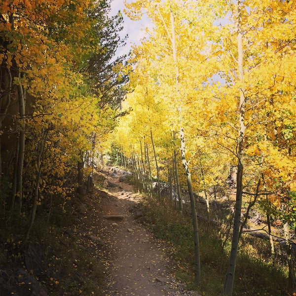 Colorado Fall Foliage - #6 Ouzel Falls