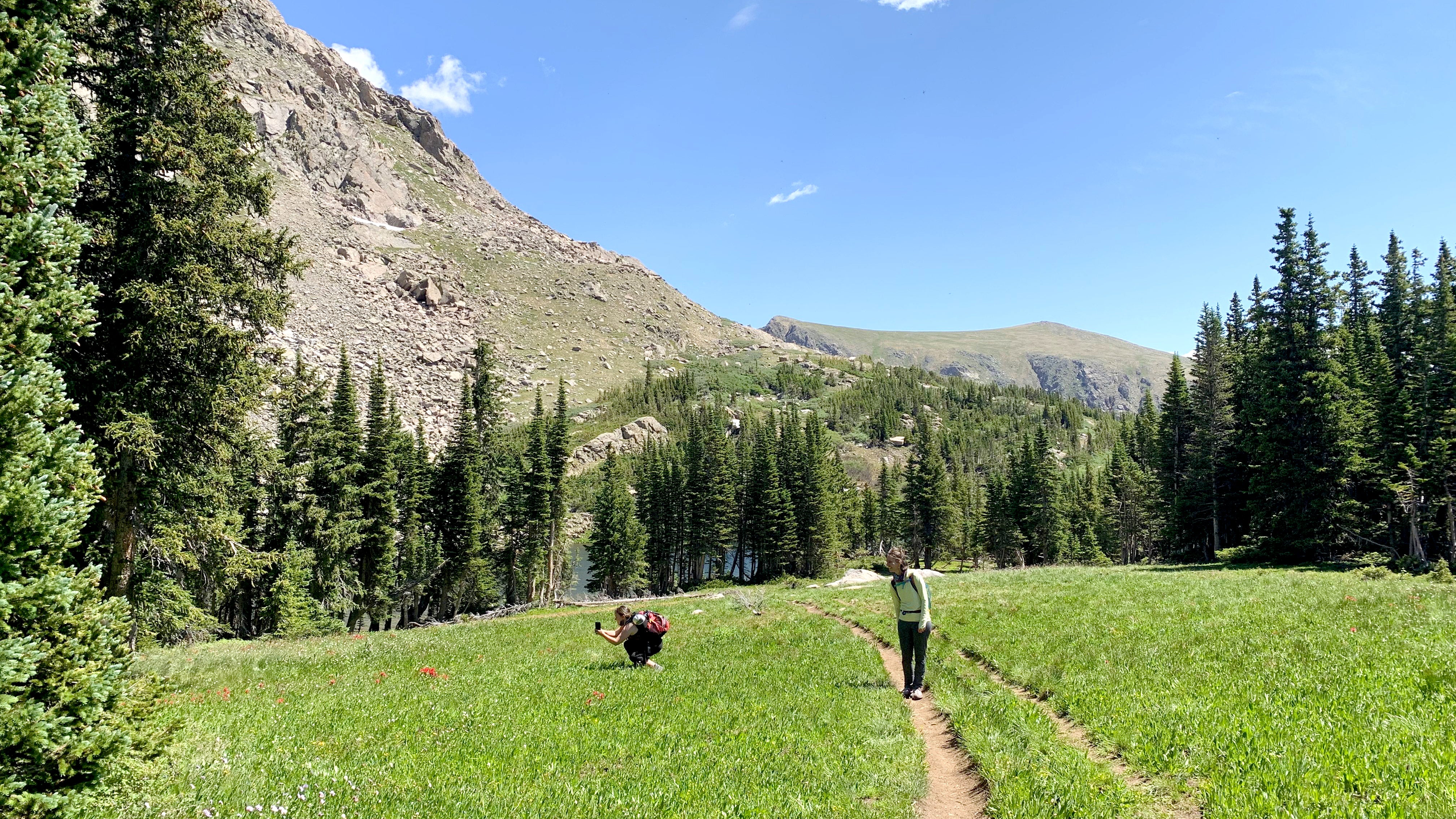 Colorado Wildflower photography at Devil's Thumb Lake