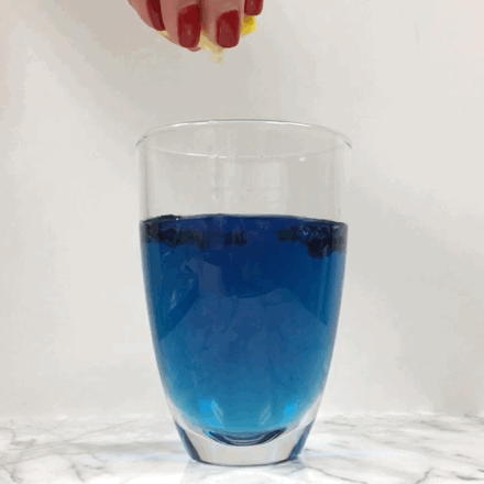 Butterfly Pea Flower Natural Food Coloring