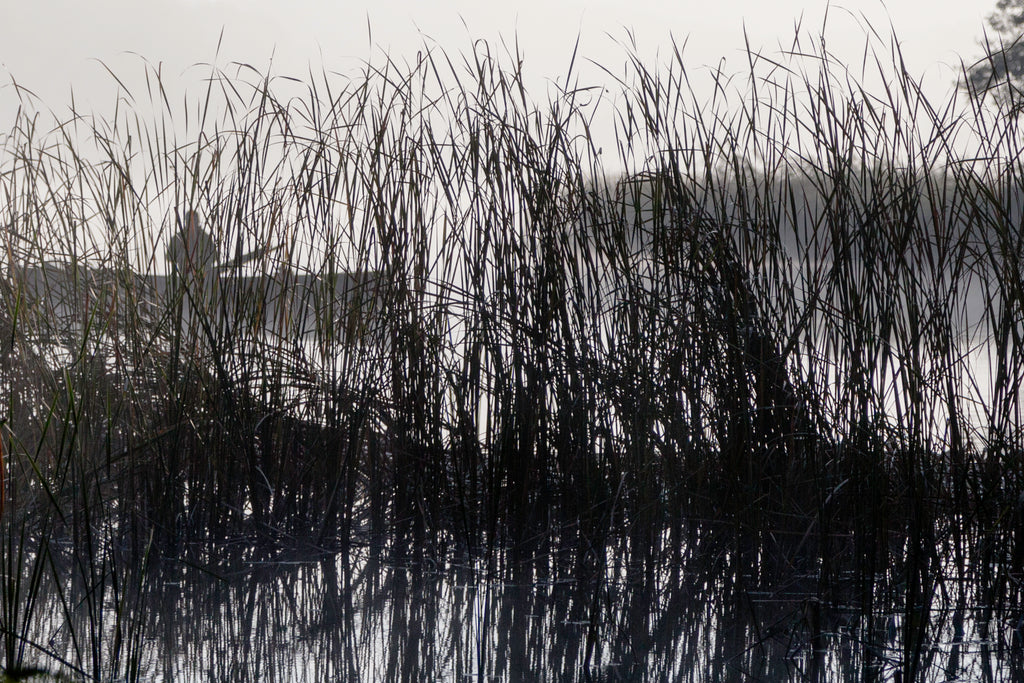 The Sea Remembers - Rosemarie Zens