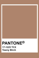 Must-Have Colors for Fall 2020