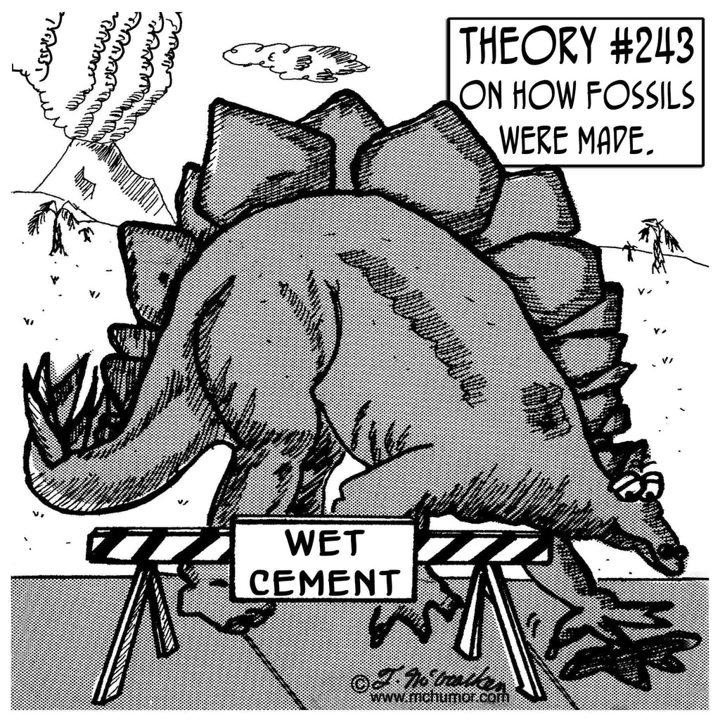 We Often Get Asked How Fossils Are Formed Fossil Realm