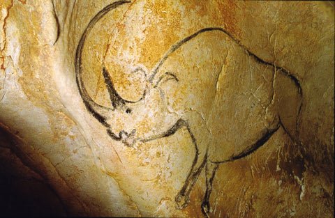 Woolly rhino cave art