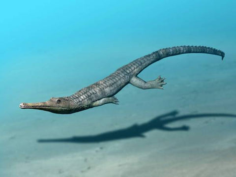 Steneosaurus reconstruction