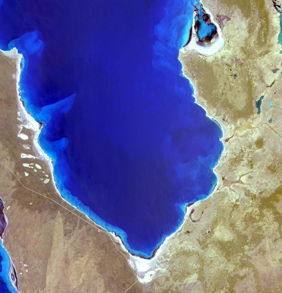 Hamelin Pool Marine Nature Reserve, Shark Bay World Heritage Site, Western Australia. One of the only places where living stromatolites can be found. 