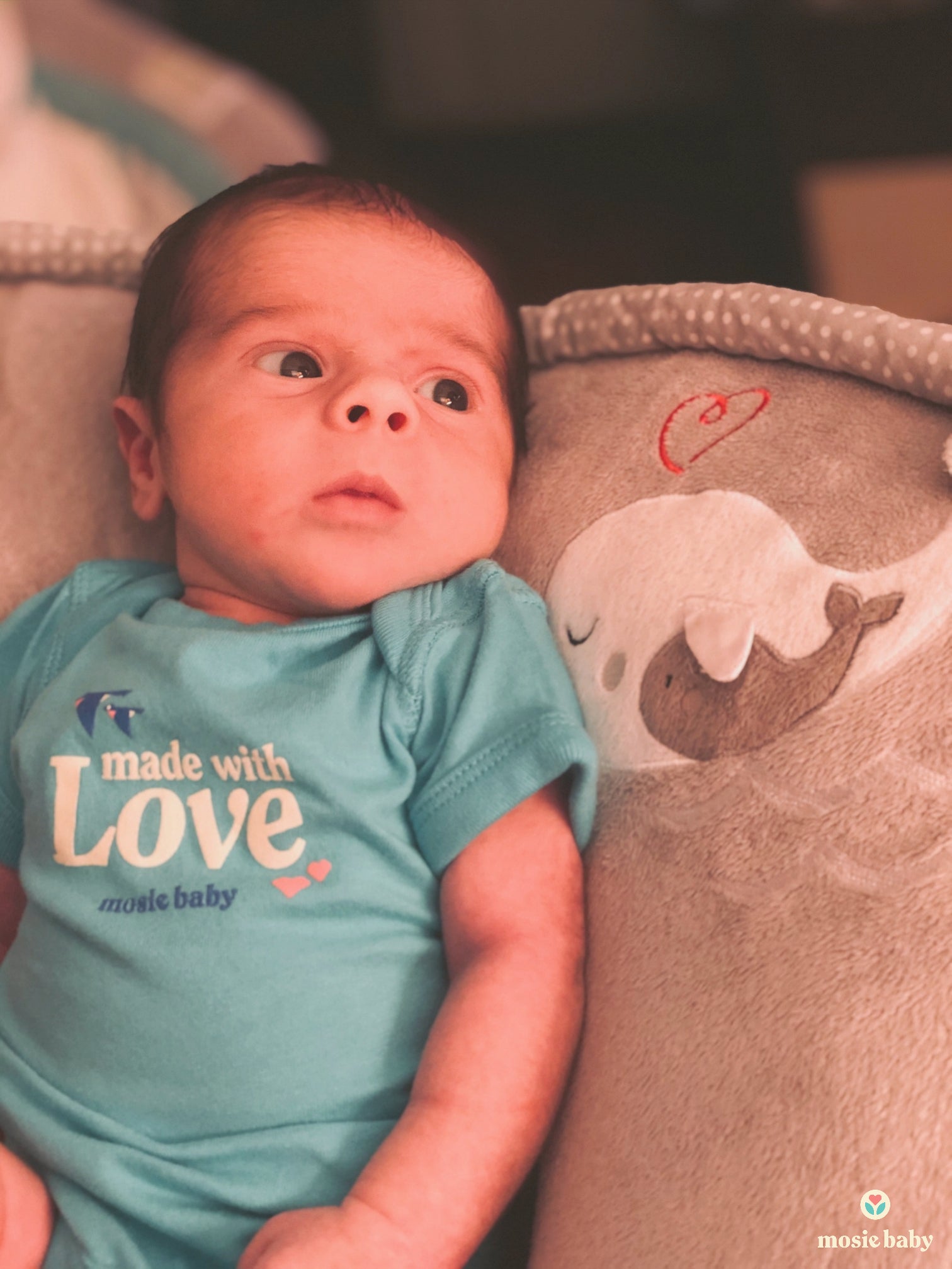 newborn in a mosie baby onesie