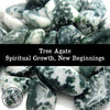 Set of 6 Tumbled Stones