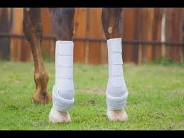 ICONOCLAST SPORTS EQUINE BOOTS COMPLETE FRONT BACK SET WHITE-X LARGE SPLINT BOOT