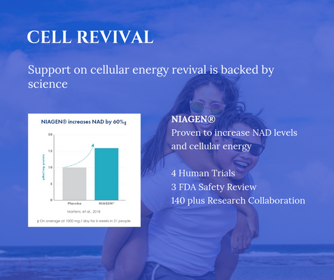 Niagen Information - Cell Revival - S-Cell Health & Beauty Supplements