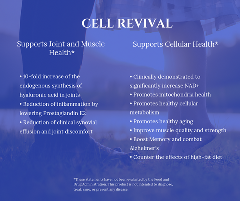 Benefits of Using - Cell Revival - S-CELL Health & Beauty