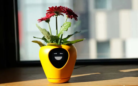 lua digital planter