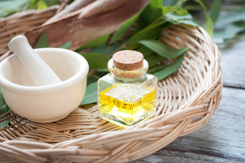 Eucalyptus Oil