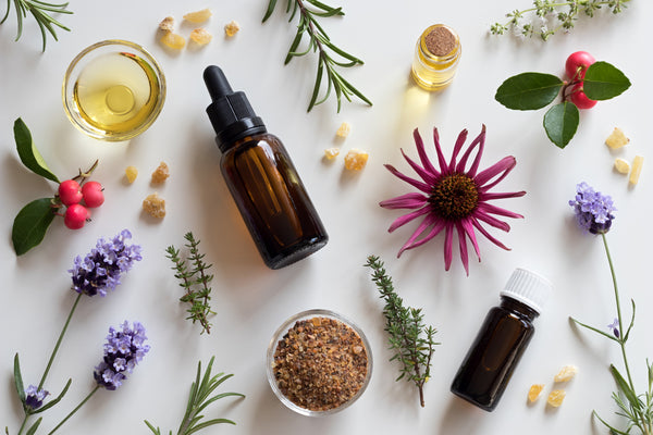 echinacea flower and other essential oils