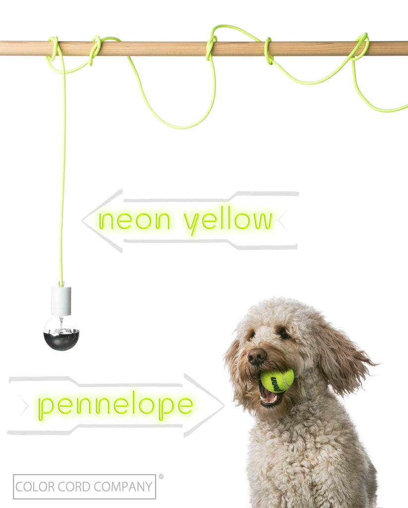 Neon Yellow Wire by Color Cord