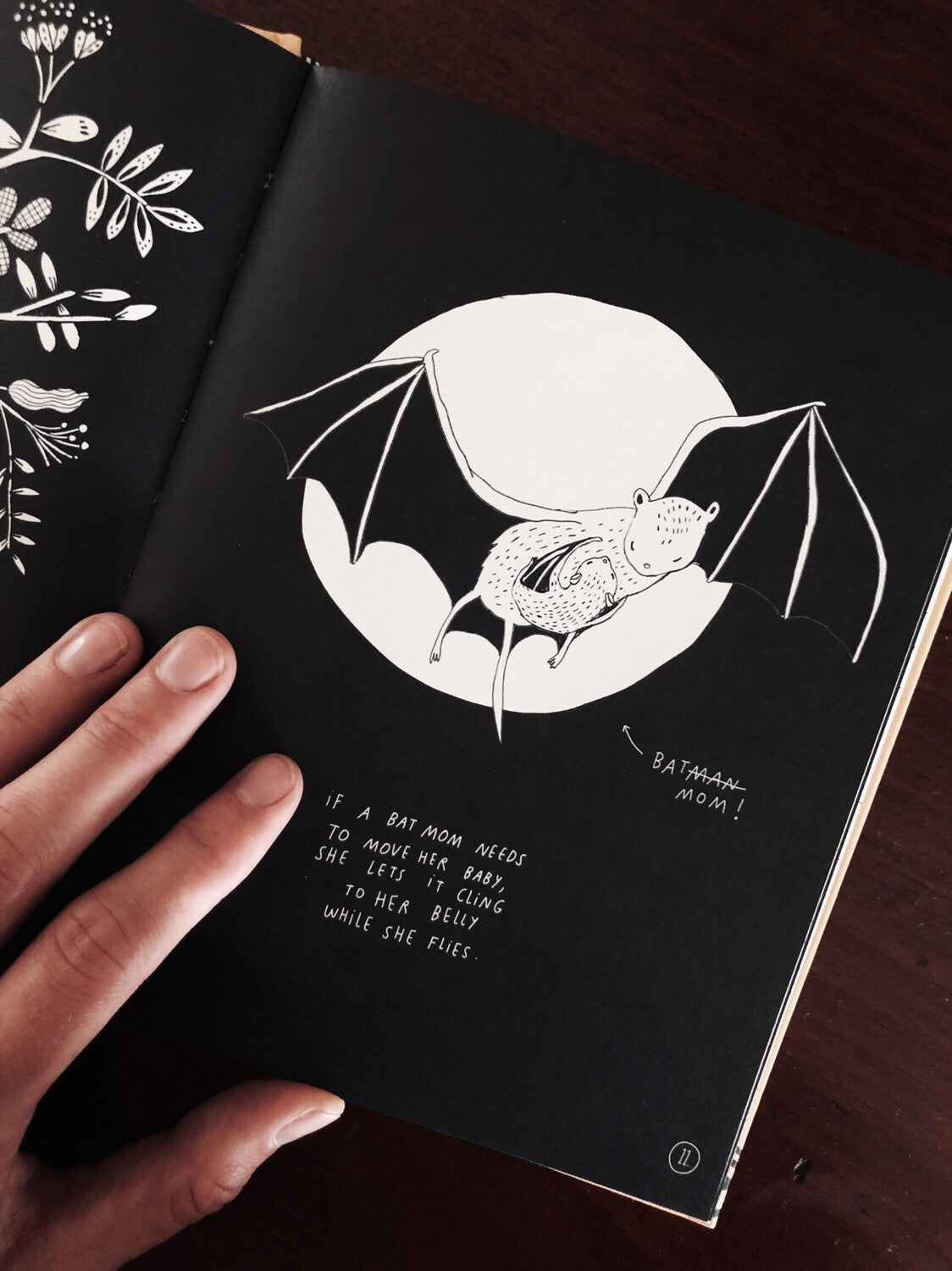 Amazing facts about baby animals - signed + PRINT