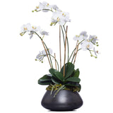 faux floral orchid