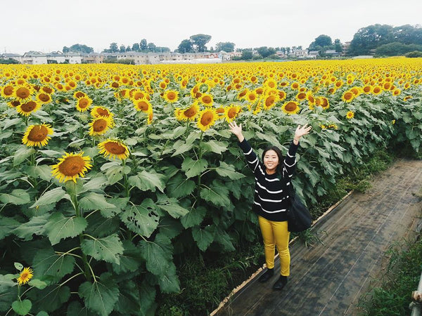 Ichii Farm in Kiyose