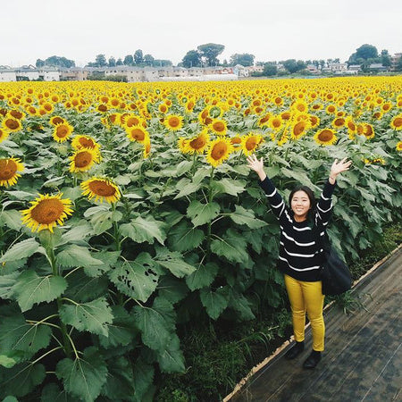 Ichii Farm in Kiyose