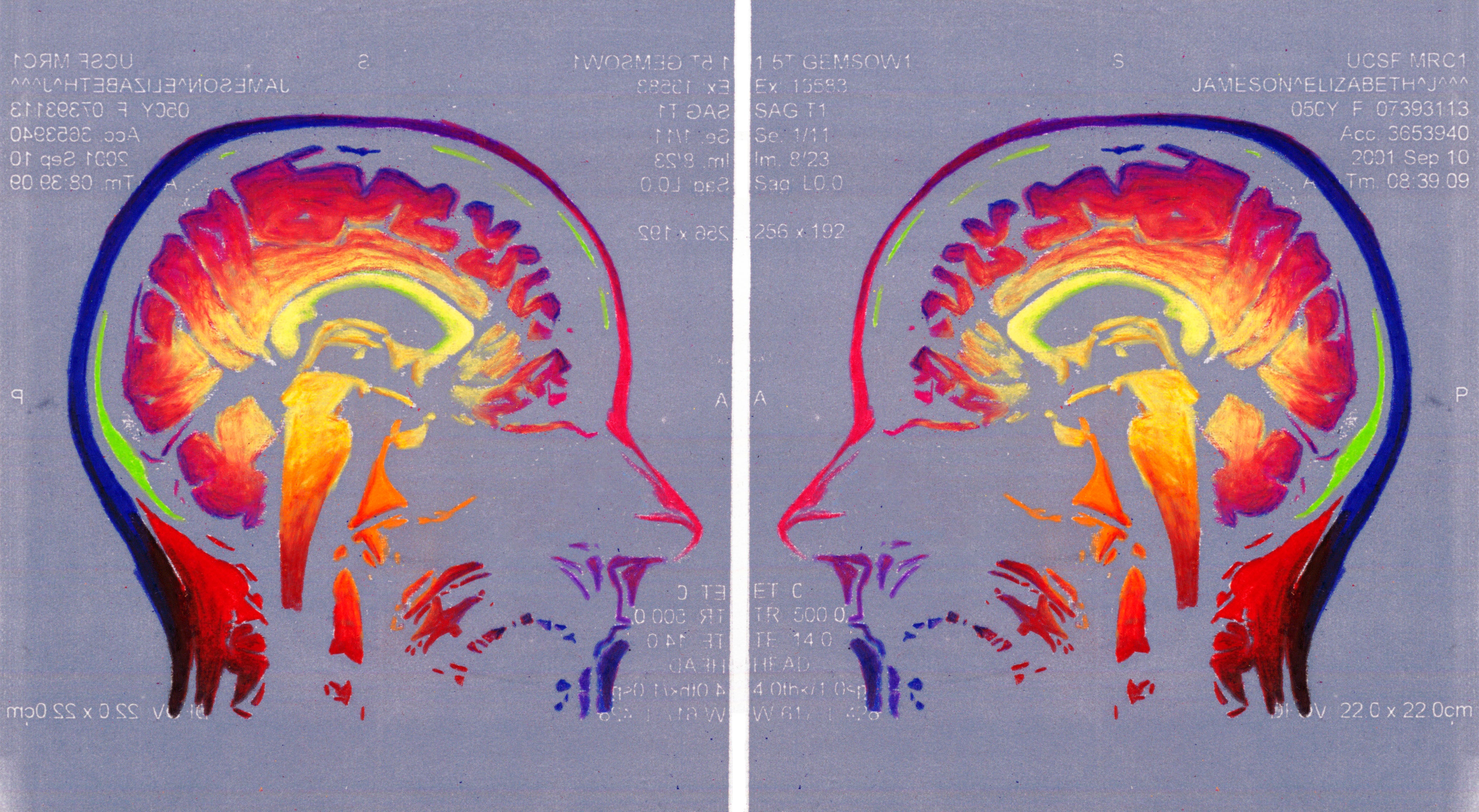 Elizabeth Jameson - Neuroscience Science Art Brains